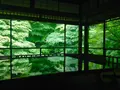 瑠璃光院の写真_664322