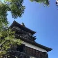 丸岡城天守閣の写真_664332