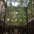 同志社大学の写真_664340