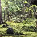 大原の写真_664349