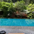 izuベーカリー&カフェの写真_665306
