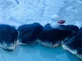 乳頭温泉郷の写真_665543