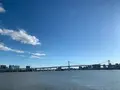 晴海埠頭の写真_666475