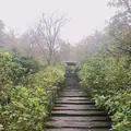 鎌倉駅の写真_667899