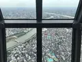 東京スカイツリーの写真_671065