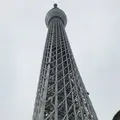 東京スカイツリーの写真_671067