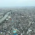 東京スカイツリーの写真_671071