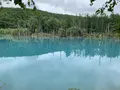 白金青い池の写真_671232