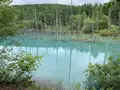白金青い池の写真_671235