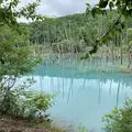 白金青い池の写真_671237