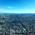東京スカイツリーの写真_671711