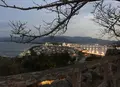 唐津城の写真_671740