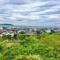 長谷寺の写真_671773