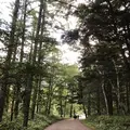 上高地の写真_671777