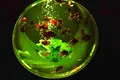 【閉業】アートアクアリウムの写真_671789