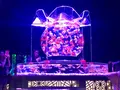 【閉業】アートアクアリウムの写真_671791