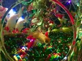 【閉業】アートアクアリウムの写真_671797