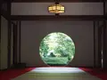 明月院（あじさい寺）の写真_673957