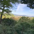 常寂光寺の写真_674929