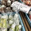 道の駅 阿蘇の写真_675637