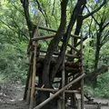 トーベ・ヤンソンあけぼの子どもの森公園の写真_675827