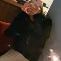 夜カフェ６の写真_676343