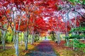 平岡樹芸センターの写真_677461