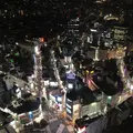 渋谷スクランブルスクエア 東棟の写真_677856