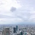 渋谷スクランブルスクエア 東棟の写真_677857