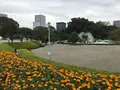迎賓館赤坂離宮 (Akasaka Palace)の写真_678380