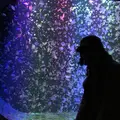 鶴岡市の写真_679046