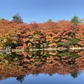 雲場池の写真_679358