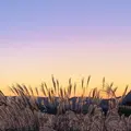 曽爾高原の写真_680004
