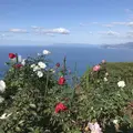 レインボーライン山頂公園の写真_680337