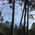 鞍馬寺の写真_680557