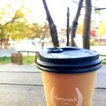 Hammock Cafe（ハンモックカフェ）の写真_681179
