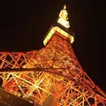 東京タワーの写真_682107