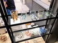 日本橋玻璃工房の写真_682194