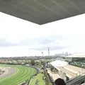 ムーニーヴァレー競馬場の写真_683365