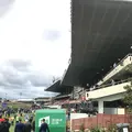 ムーニーヴァレー競馬場の写真_683367