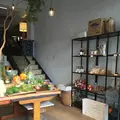レフズ 熱海店の写真_683519