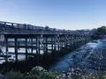 渡月橋の写真_683583