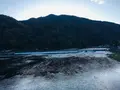 渡月橋の写真_683586