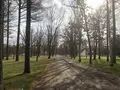 ノーザンホースパークの写真_684795