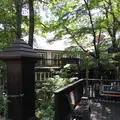 レストラン ペニーレイン（RESTAURANT PENNY LANE）那須店の写真_685646