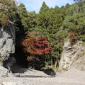 保津川下りの写真_685845