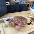 網走刑務所の写真_685883