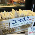 愛宕神社の写真_687577