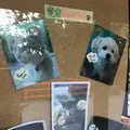 愛宕神社の写真_687578
