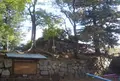 淀城の写真_688133